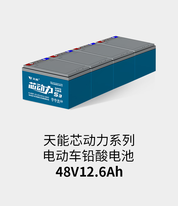 伟德betvlctor电池48v12ah