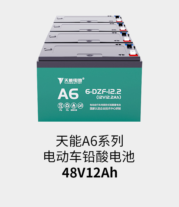 伟德betvlctor电池48v12ah