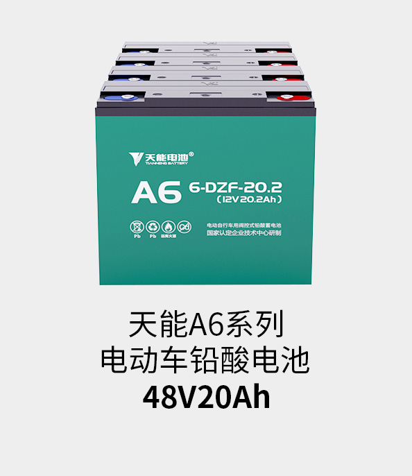 伟德betvlctor电池48v20ah